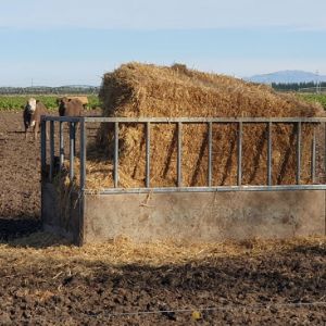 Sheeted-rectangular-hay-feeder